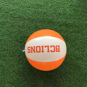 Strandballen laten bedrukken | Hoge kwaliteit